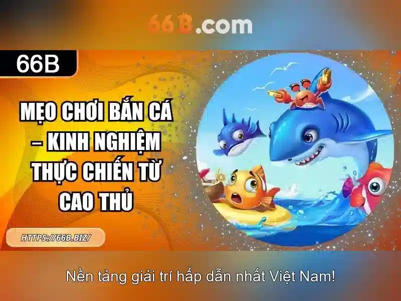 Chính Sách Bảo Mật 66B